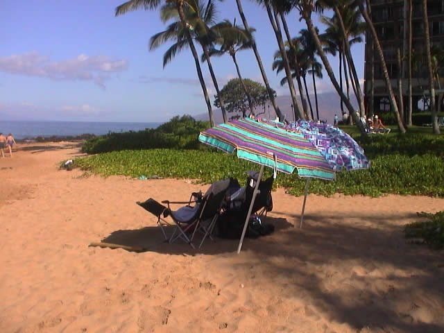 Westerly view