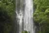 Waterfall near Hana (79,155 bytes)