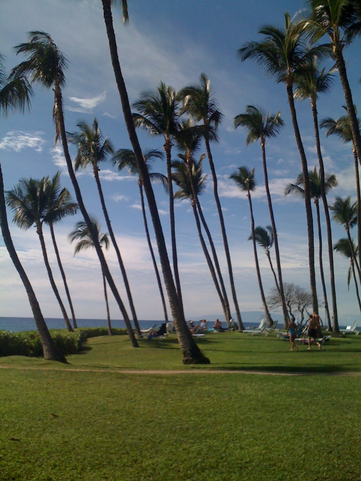 Maui Mana Kai