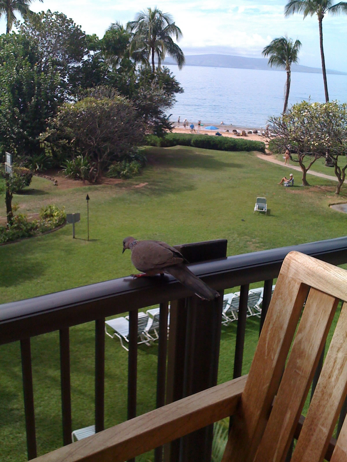 Maui Mana Kai